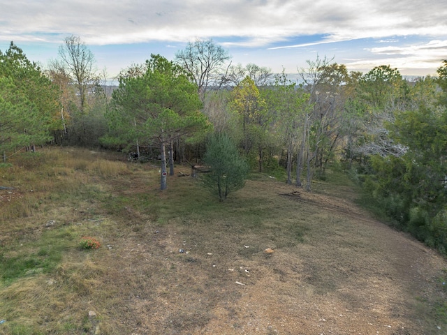 996 Tibbs Ln, Centerville, TN 37033