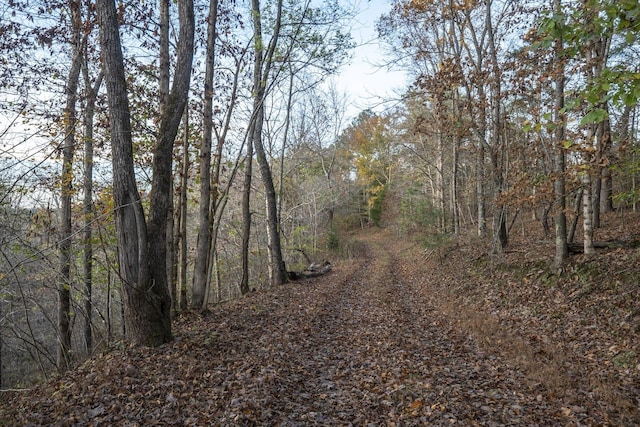 996 Tibbs Ln, Centerville, TN 37033