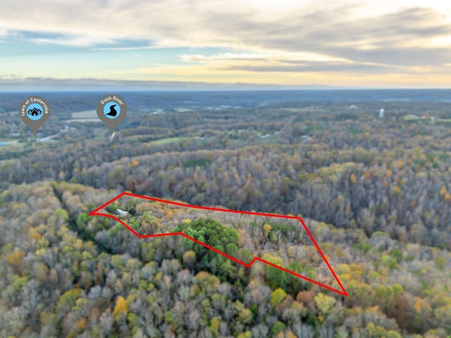 996 Tibbs Ln, Centerville, TN 37033