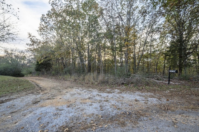 996 Tibbs Ln, Centerville, TN 37033