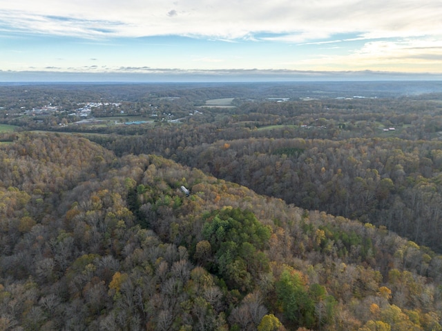 996 Tibbs Ln, Centerville TN, 37033 land for sale