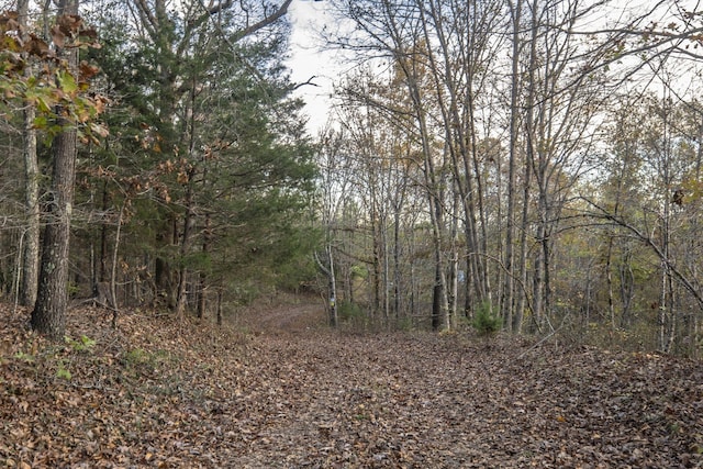 996 Tibbs Ln, Centerville, TN 37033