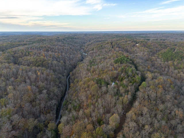 996 Tibbs Ln, Centerville, TN 37033