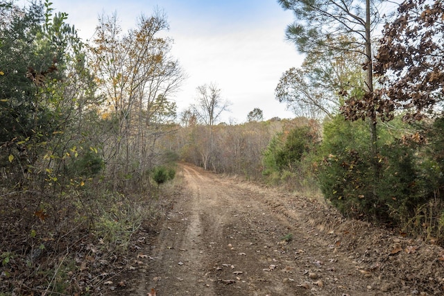 996 Tibbs Ln, Centerville, TN 37033