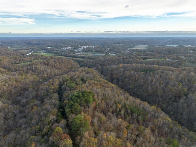 996 Tibbs Ln, Centerville, TN 37033
