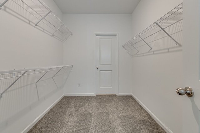 spacious closet with carpet