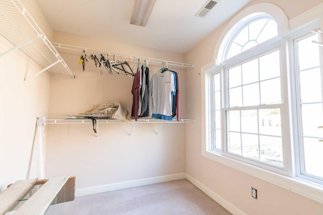 spacious closet with light colored carpet