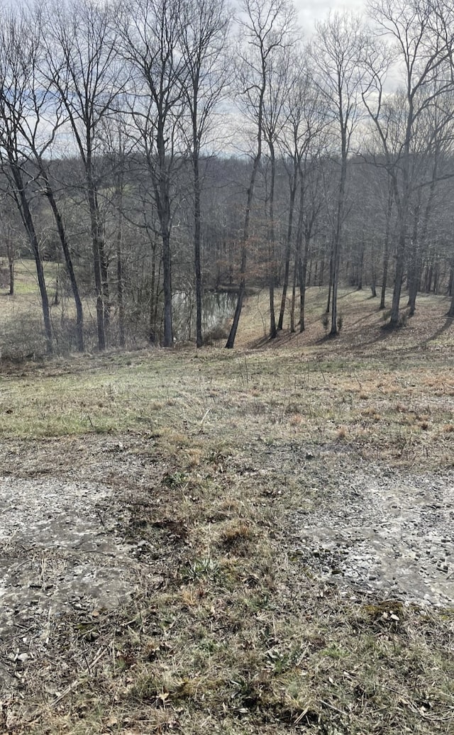 Listing photo 3 for 0 Union Camp Rd, Lafayette TN 37083