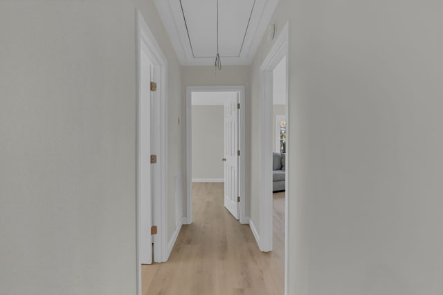 hall featuring light hardwood / wood-style floors