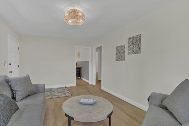 living room with wood-type flooring