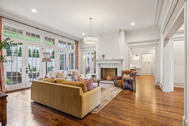 living room featuring hardwood / wood-style floors, a wealth of natural light, and french doors