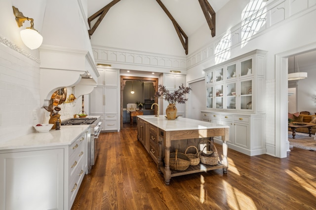 kitchen with dark wood-type flooring, an island with sink, high vaulted ceiling, and stainless steel range