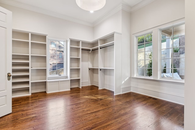 spacious closet with dark wood-type flooring