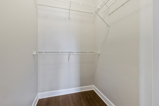 spacious closet with hardwood / wood-style floors