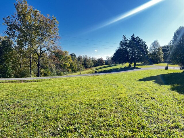 0 Lanis Rd, Baxter, TN 38544 - photo 5