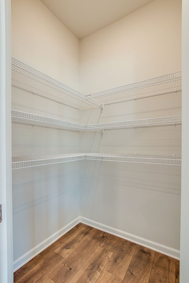 spacious closet featuring hardwood / wood-style flooring