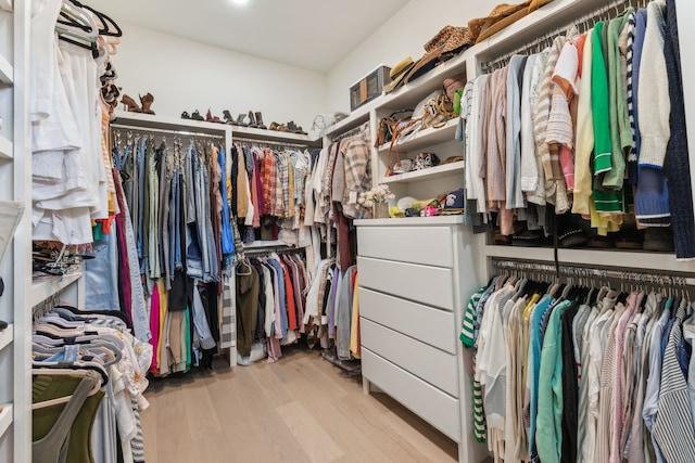 walk in closet with light wood-type flooring