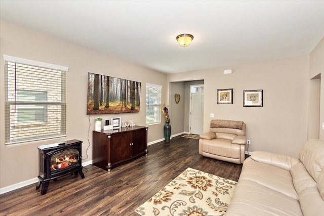 living room featuring a wood stove and dark hardwood / wood-style floors