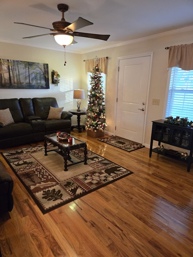 living room with hardwood / wood-style floors, ceiling fan, and crown molding