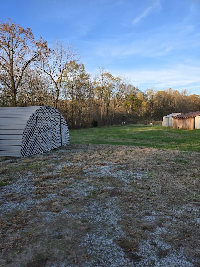 view of yard with an outbuilding