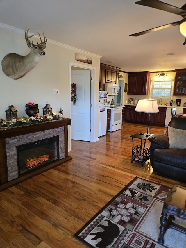 living room with a fireplace, hardwood / wood-style floors, crown molding, and sink