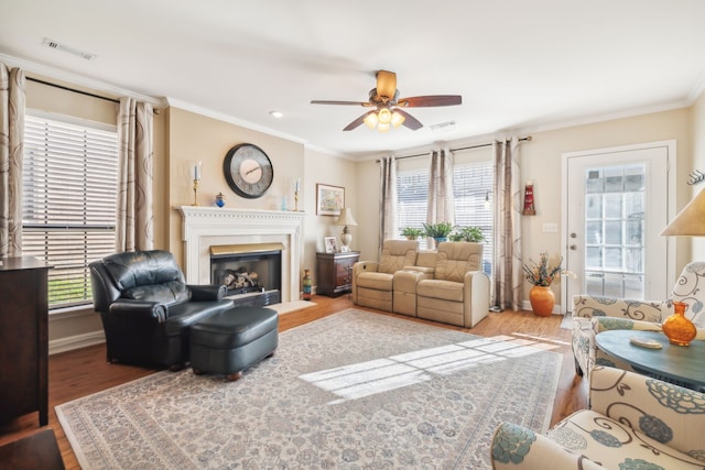 living room with ceiling fan, wood-type flooring, and ornamental molding