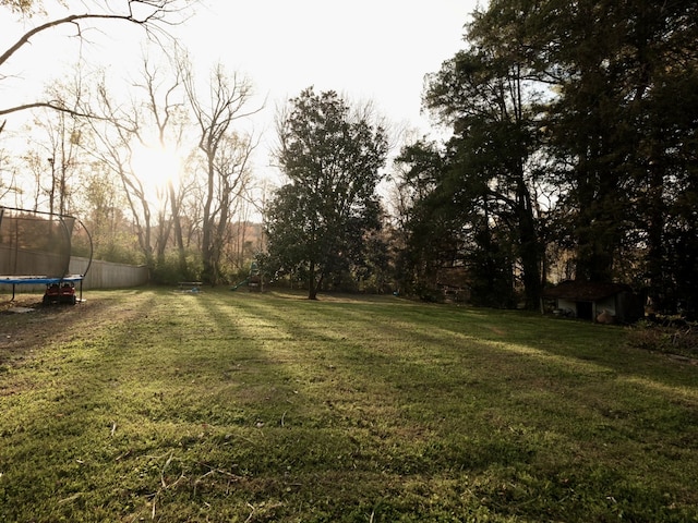 view of yard featuring a trampoline