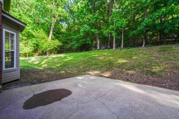 view of yard featuring a patio area