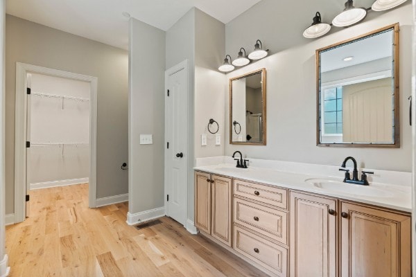 bathroom with hardwood / wood-style flooring and vanity