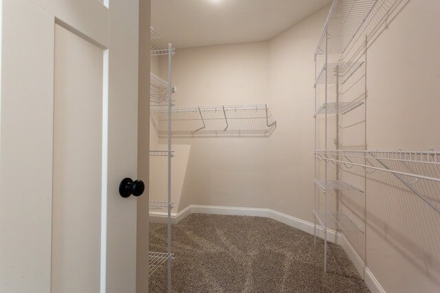 spacious closet featuring carpet flooring