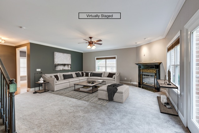 carpeted living room with ceiling fan and ornamental molding