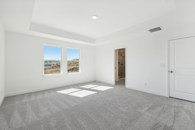 unfurnished room with light carpet and a tray ceiling