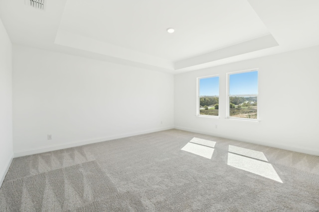 spare room featuring a raised ceiling and light colored carpet