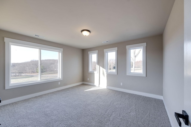 unfurnished room with carpet