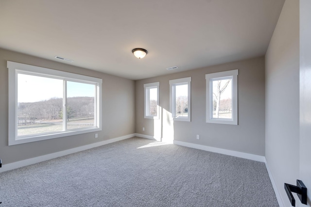 4275 Moore Ln, Culleoka, TN 38451 - photo 44