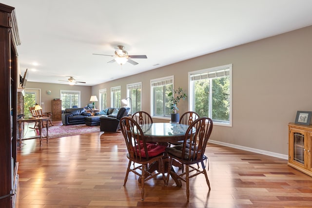 dining space with ceiling fan, a healthy amount of sunlight, and light hardwood / wood-style flooring