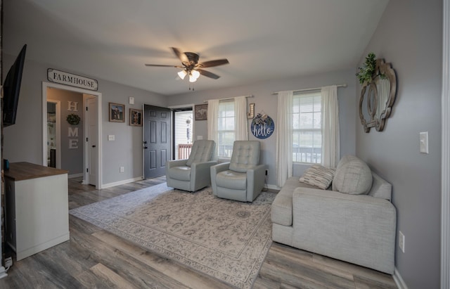 living room with ceiling fan and wood-type flooring