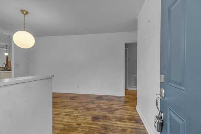 interior space featuring dark wood-type flooring and sink