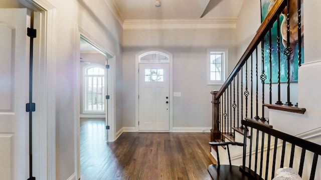 foyer entrance with dark hardwood / wood-style floors, crown molding, and a wealth of natural light