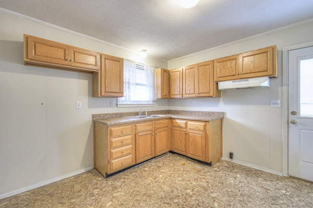 kitchen featuring a textured ceiling, ornamental molding, and sink