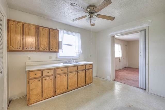 kitchen with a textured ceiling, ceiling fan, sink, and a wealth of natural light