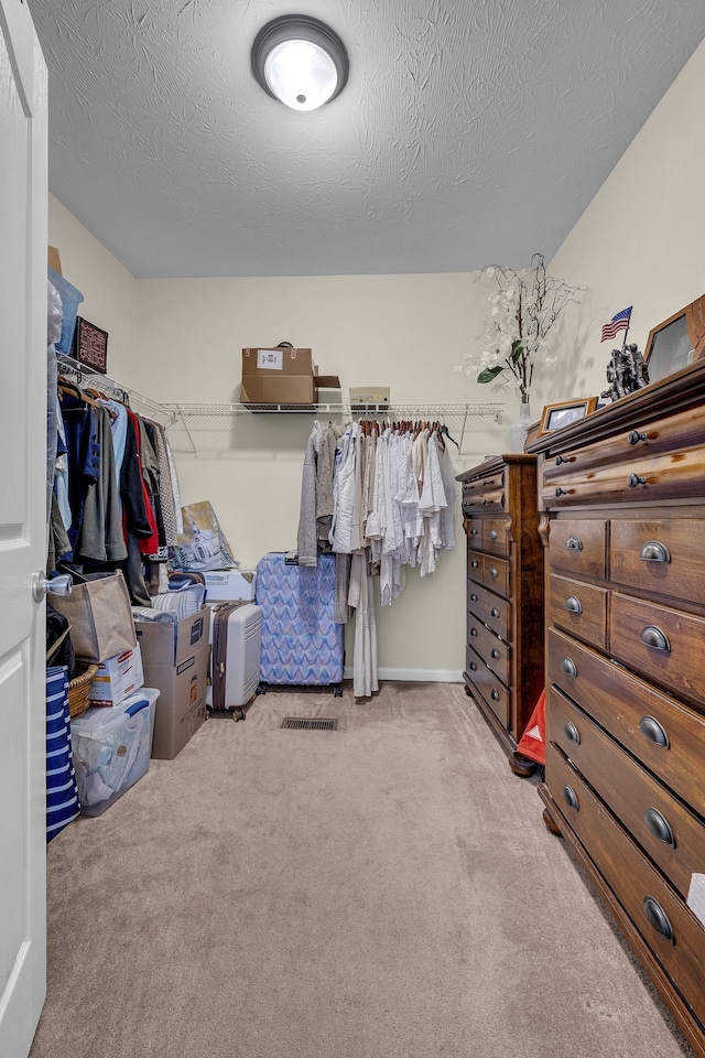 spacious closet featuring carpet