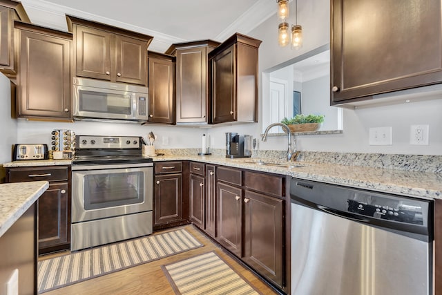 kitchen with sink, decorative light fixtures, dark brown cabinets, appliances with stainless steel finishes, and ornamental molding