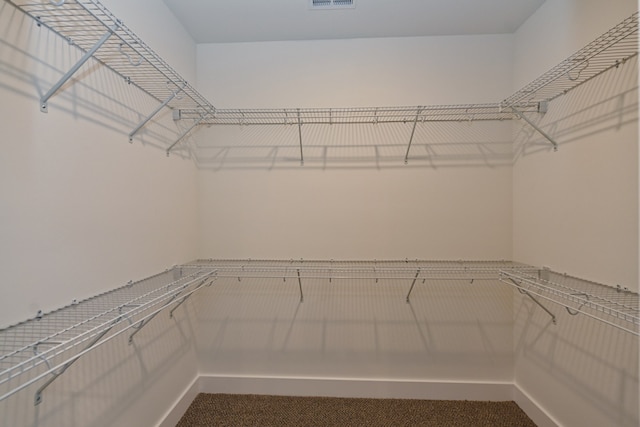 walk in closet featuring carpet flooring