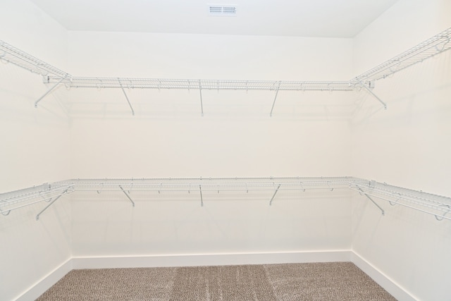 walk in closet with carpet flooring