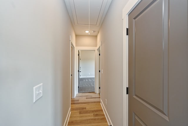 corridor with light wood-type flooring