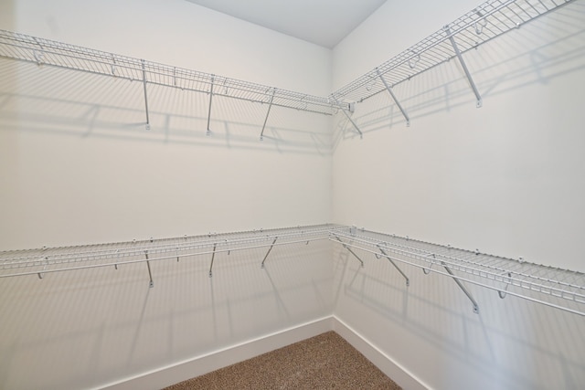 spacious closet with carpet