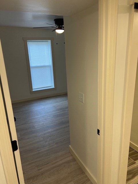 hall featuring wood-type flooring