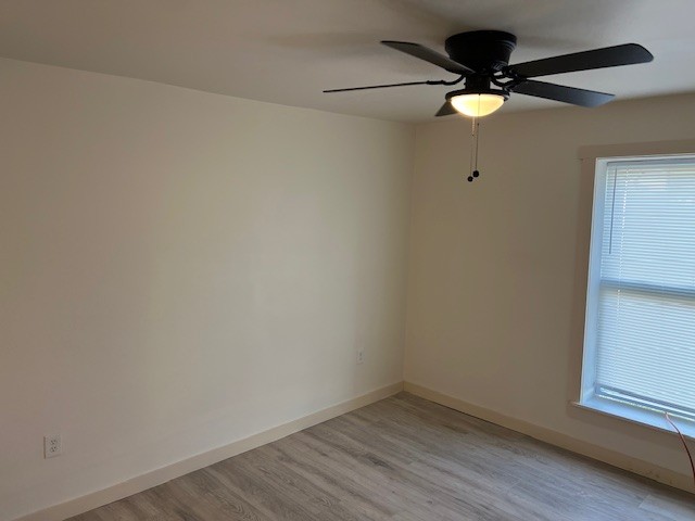 empty room featuring light wood-type flooring and ceiling fan