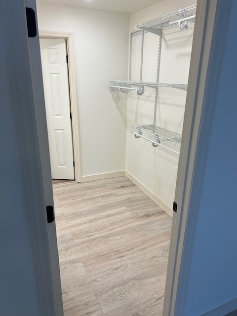 spacious closet featuring light hardwood / wood-style flooring